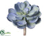 Silk Plants Direct Echeveria Pick - Blue - Pack of 12