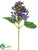 Lilac Pick - Purple - Pack of 12