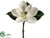 Magnolia Pick - White - Pack of 12