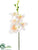 Silk Plants Direct Phalaenopsis Orchid Pick - Peach - Pack of 12