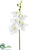 Silk Plants Direct Phalaenopsis Orchid Pick - White - Pack of 12