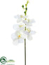 Silk Plants Direct Phalaenopsis Orchid Pick - White - Pack of 12