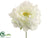 Peony Pick - Cream - Pack of 24