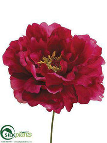 Peony Pick - Pink Hot - Pack of 24