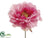 Peony Pick - Pink - Pack of 24