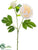 Silk Plants Direct Peony Pick - Peach - Pack of 12