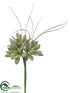 Silk Plants Direct Succulent Bouquet Pick - Green - Pack of 24