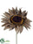 Sunflower Pick - Chocolate - Pack of 24