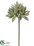 Silk Plants Direct Sedum Bouquet Pick - Green Gray - Pack of 24