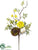 Ranunculus, Blossom, Bird's Nest Pick - Yellow Green - Pack of 12