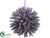 Lavender Kissing Ball - Lavender Two Tone - Pack of 6