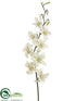 Silk Plants Direct Dendrobium Orchid Spray - Cream White - Pack of 12