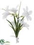 Silk Plants Direct Freesia Corsage - White Pearl - Pack of 12