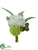 Rose, Snowball Boutonniere - White Green - Pack of 12