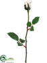 Silk Plants Direct Rose Bud Spray - Cream - Pack of 24