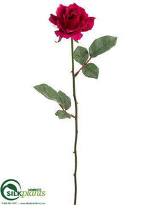 Rose Spray - Beauty - Pack of 12