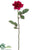 Rose Spray - Beauty - Pack of 12