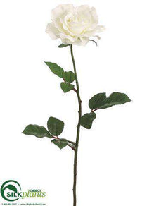 Large Rose Spray - Cream - Pack of 12