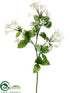 Silk Plants Direct Stephanotis Spray - White - Pack of 12