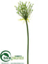 Silk Plants Direct Agapanthus Bud Spray - Cream Green - Pack of 12
