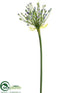 Silk Plants Direct Agapanthus Bud Spray - Lavender Green - Pack of 12