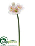 Silk Plants Direct Amaryllis Spray - White Pink - Pack of 12