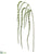 Hanging Spray - Green Dark - Pack of 12