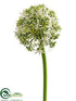 Silk Plants Direct Allium Spray - Cream - Pack of 12