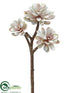 Silk Plants Direct Aeonium Spray - Whitewashed Mauve - Pack of 24