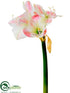 Silk Plants Direct Amaryllis Spray - Pink White - Pack of 6