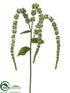 Silk Plants Direct Amaranthus Spray - Green - Pack of 12