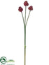 Silk Plants Direct Allium Bundle - Burgundy - Pack of 12