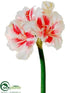 Silk Plants Direct Amaryllis Spray - Beauty Cream - Pack of 6