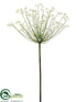 Silk Plants Direct Agapanthus Spray - Cream - Pack of 6