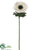 Anemone Spray - White - Pack of 12