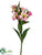 Alstroemeria Spray - Lilac Two Tone - Pack of 12