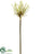 Silk Plants Direct Allium Spray - White - Pack of 12
