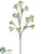 Aralia Spray - Green - Pack of 6