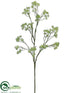 Silk Plants Direct Aralia Spray - Green - Pack of 6