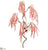 Amaranthus Spray - Pink - Pack of 12