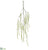 Hanging Amaranthus Spray - Green - Pack of 12