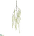 Silk Plants Direct Hanging Amaranthus Spray - Green - Pack of 12