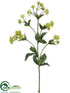 Silk Plants Direct Astrantia Spray - Green - Pack of 12