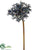 Allium Bud Spray - Purple Dark - Pack of 12