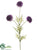 Berry Allium Spray - Purple Two Tone - Pack of 12