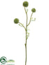 Silk Plants Direct Allium Spray - Cream Green - Pack of 12