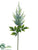 Astilbe Spray - Blue Light - Pack of 12