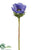 Anemone Spray - Helio - Pack of 12