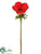 Anemone Spray - Tomato - Pack of 12