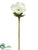 Anemone Spray - White - Pack of 12